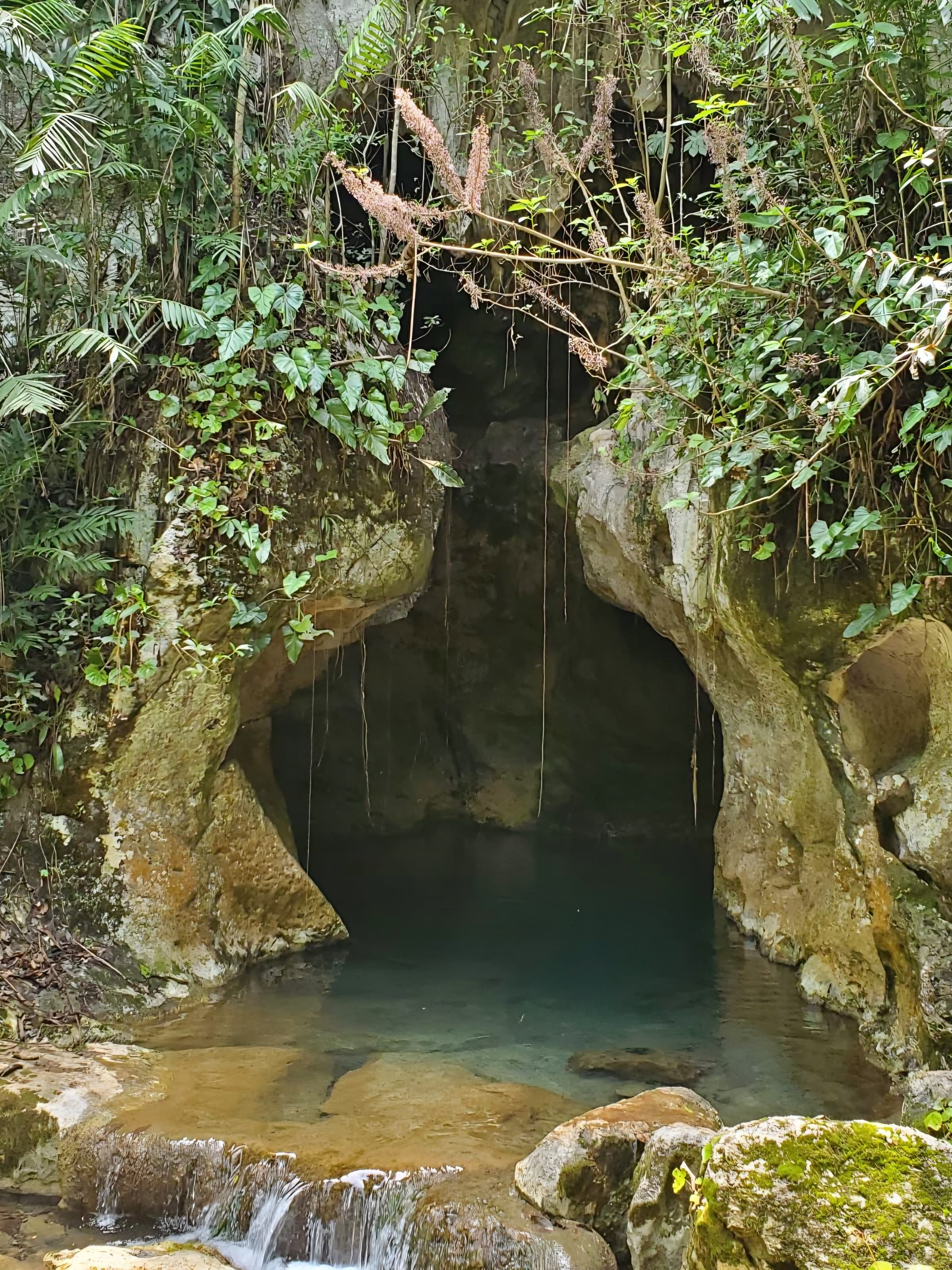 ATM Cave Jungle Path