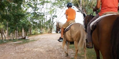 Belize Jungle Waterfall